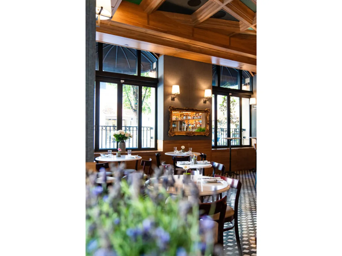 A communal dining area featuring wooden tables, elegant lighting fixtures, a decorative mirror, and large windows offering views outside. A vase of fresh flowers adds a homey touch. The space exudes a bright and communal atmosphere ideal for gathering with friends—including four-legged ones—after city adventures.
